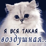 Ольга Давыдова | Санкт-Петербург