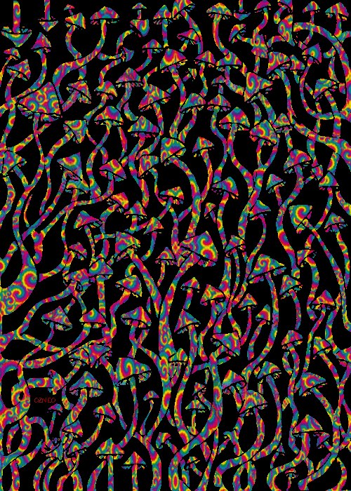 Константин Ноги Коловратович | Achuutaiin Dugang