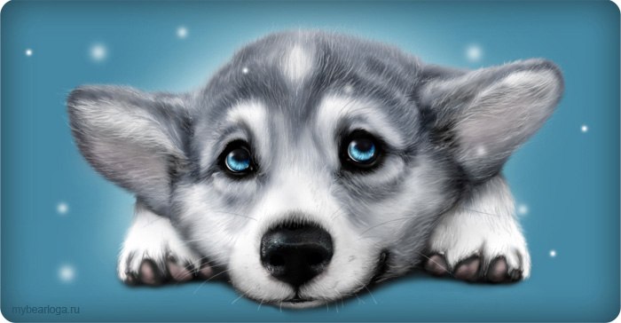 Марина Прес | Житомир