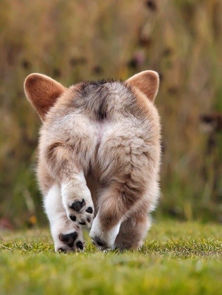 Артем Северьянов | 