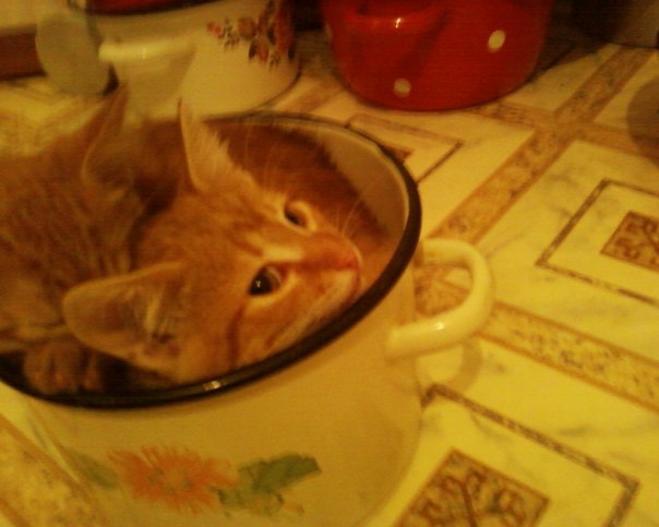 №1, Юлия Чернова №1, Юлия Чернова