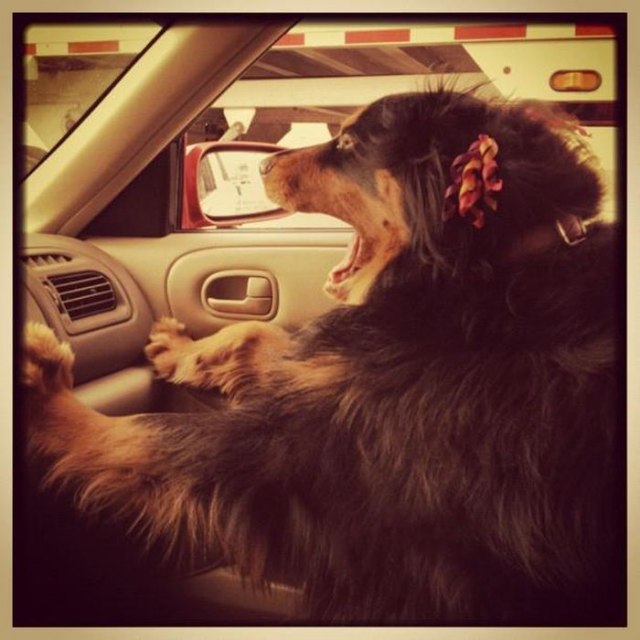 Никита Комогоров | Магнитогорск