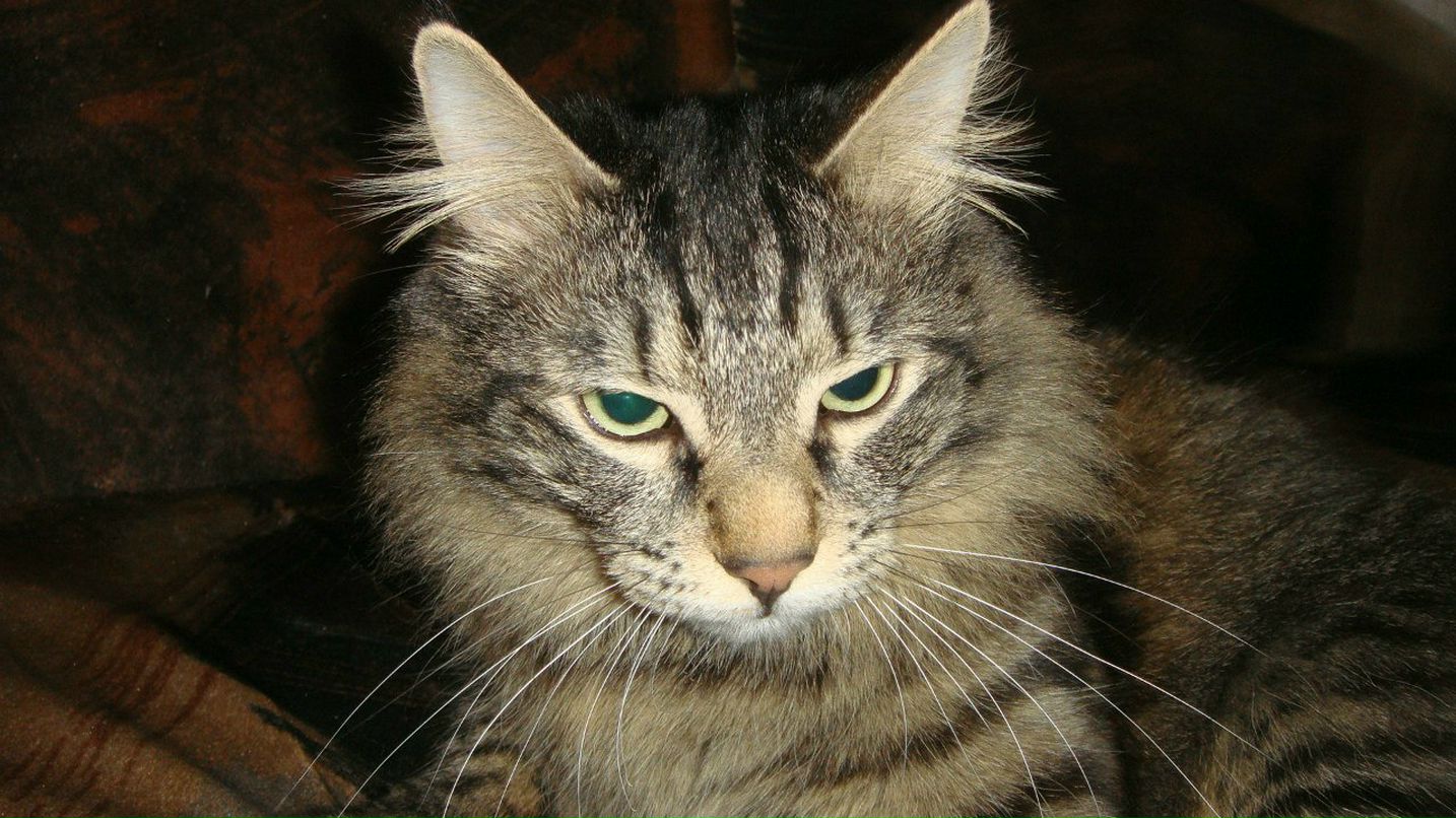 Айгуль Гилязева | Набережные Челны