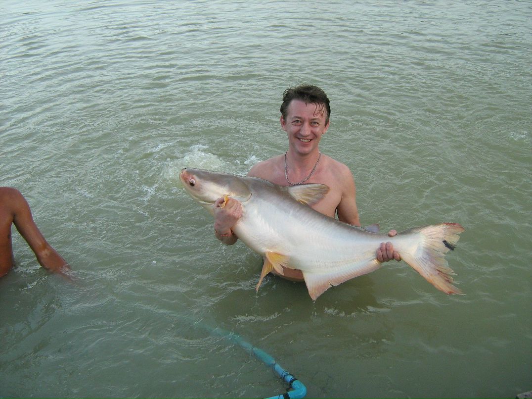 Сергей Шаповалов | Санкт-Петербург