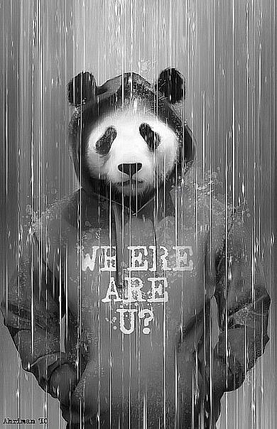 Саня Зубков | Санкт-Петербург