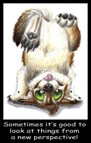 №2, Ирина Максимова, Лобня №2, Ирина Максимова, Лобня