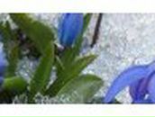 Юлия Кравцова | 