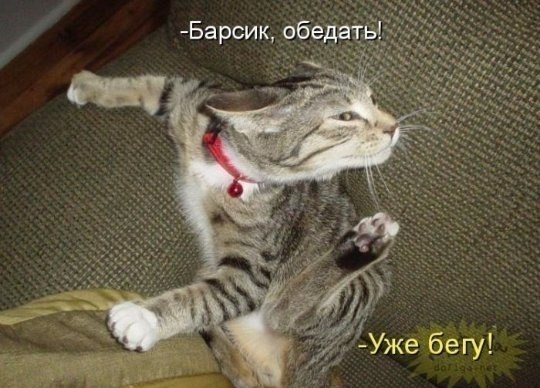 Анастасия Антонова | Волгоград