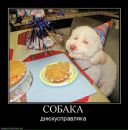 №33 Юлия Смирнова : профиль, фото, статус - ВКонтакте