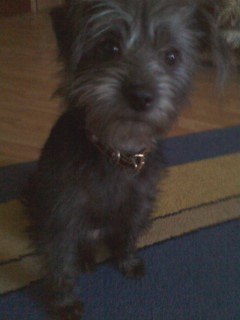 Денис Власовец | Солигорск