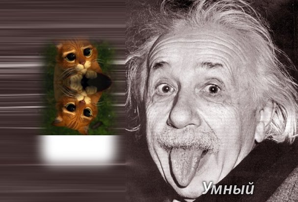 Кирилл Григорьев | Камышин