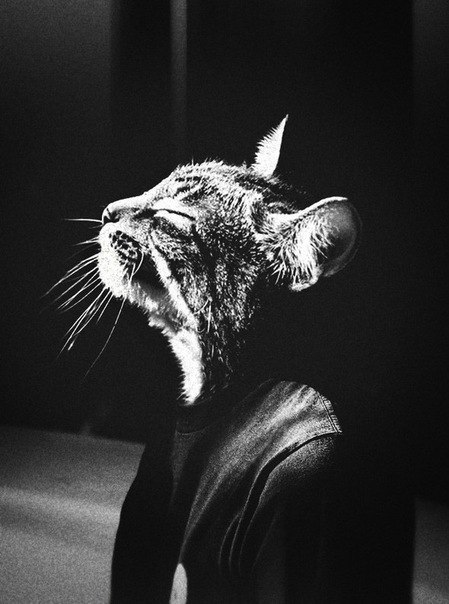 Саша Родикова | 