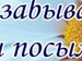 Гульфира Хисамиева фотография #24