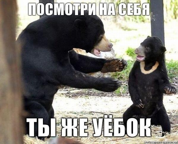 №19, Александр Твиг, Москва №19, Александр Твиг, Москва