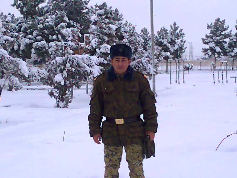 Kesha Pitbull | Ашхабад