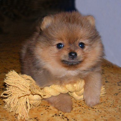 Наталия Лебедева | Гродно