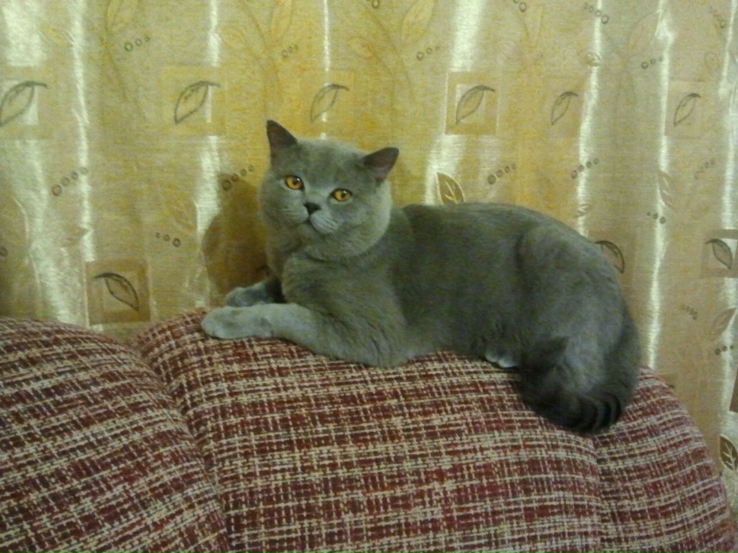 Ольга Кругляк | 