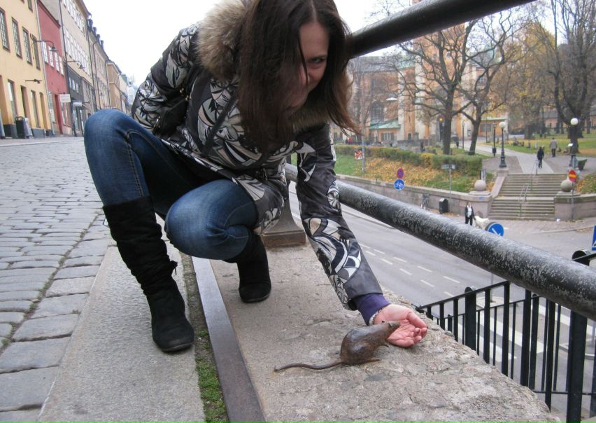 №32, Полина Агроскина, Санкт-Петербург №32, Полина Агроскина, Санкт-Петербург