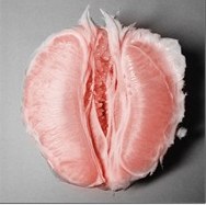 Игорь Чих-пых | Новополоцк