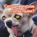 Оля Беляева фотография #37 (источник - https://vk.com/id163824296)