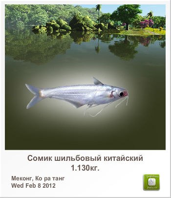 Андрей Дуненков | Санкт-Петербург