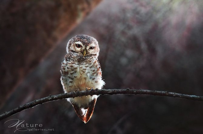 Надежда Гайдухина | Челябинск