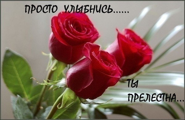 №86, Ирина Смирнова, Новосибирск №86, Ирина Смирнова, Новосибирск