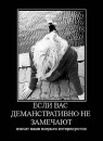 Фотография Хафизовой Любови