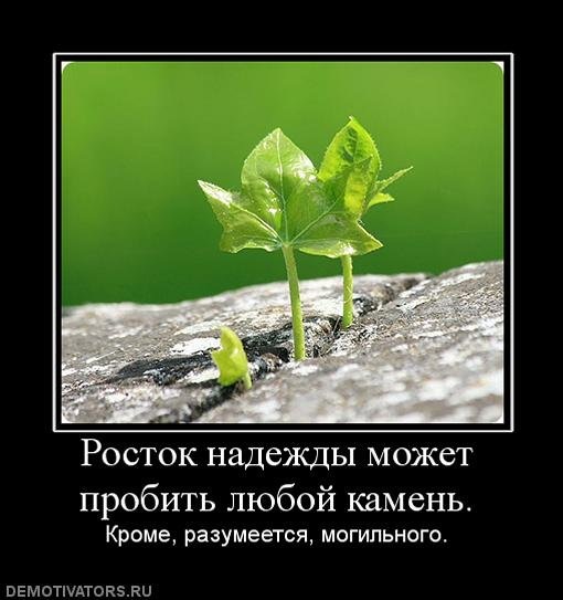 №97, Иван Вениаминович, Снегиревка №97, Иван Вениаминович, Снегиревка