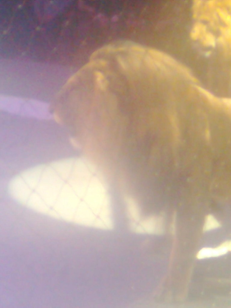 Алексей Дроздов | Новосибирск