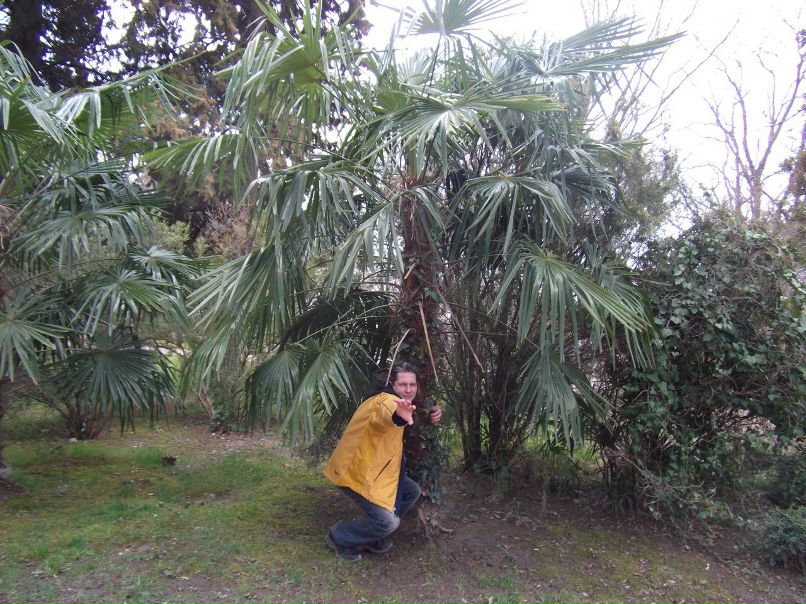 Денис Васильев CHARLZ | Санкт-Петербург