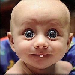 Sandeep Jha | Санкт-Петербург