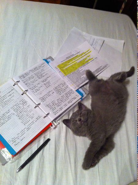 №8, Алёна Логашова, 34 года, Мытищи, Россия №8, Алёна Логашова, 34 года, Мытищи, Россия