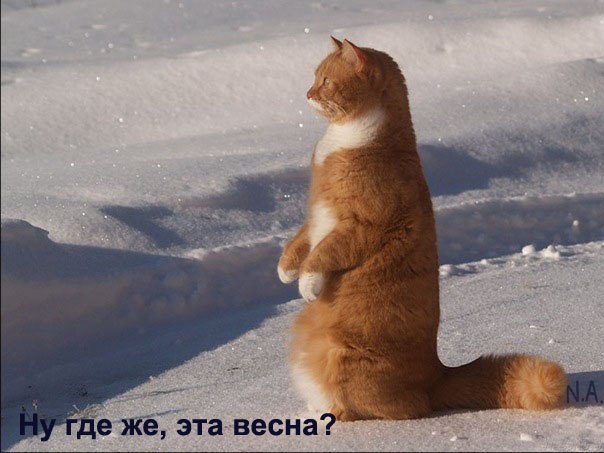 Валентин Великий Валерьевич | Киев