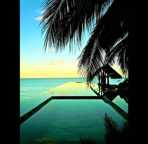 Елена Умнова | Харьков