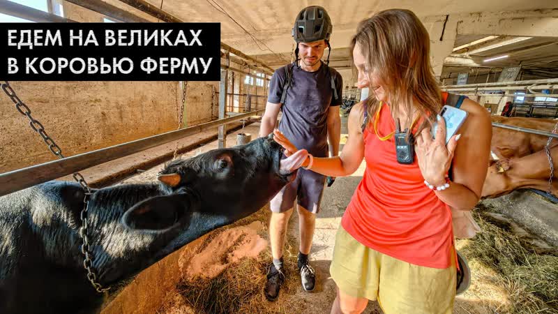 Покатушка к коровкам на велосипедах. Нашли в лесу подземный