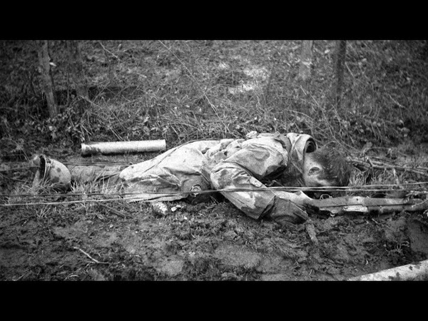Little Dark Age The Meat Grinder of World War