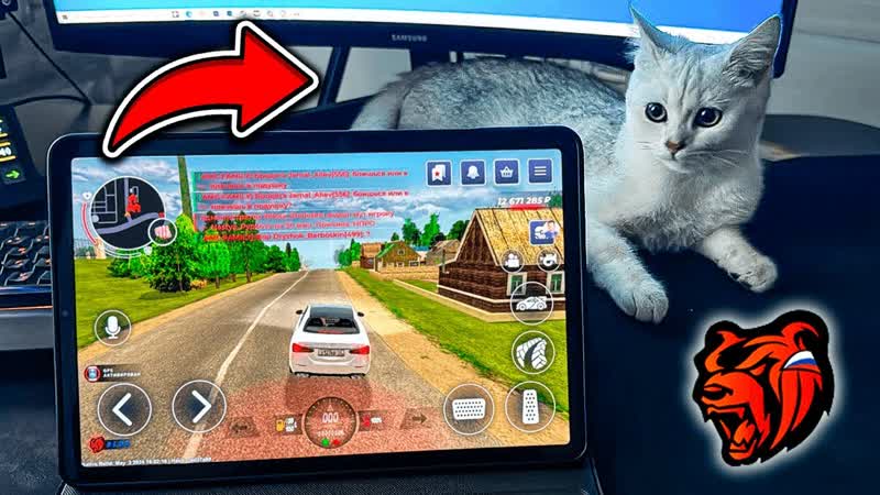 КОШКА МЕШАЕТ МНЕ ИГРАТЬ В БЛЕК РАШУ CRMP BLACK RUSSIA MOBILE
