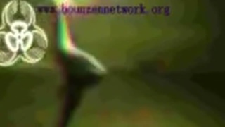 CRAZY 1.6 STYLERZ