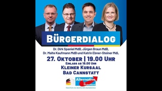 AfD-Bürgerdialog Stuttgart: Dr. Dirk Spaniel, Jürgen Braun, Dr. Malte Kaufmann, Katrin Ebner-Steiner