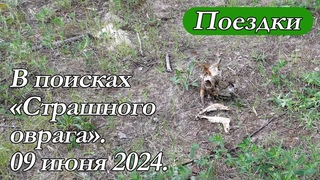 В поисках “Страшного оврага“. 09 июня 2024.