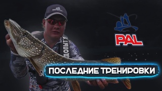 ЩУКА НАЙДЕНА! Последние тренировки перед первым этапом PAL2021.