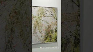 Contemporary Art: Montrasio gallery Monza Piacenza Milano - Giuseppe Alletto visual artist