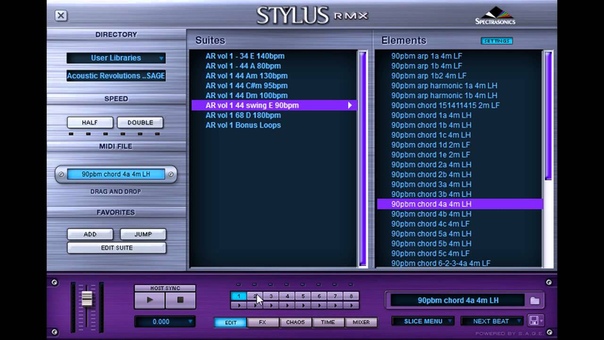 Acoustic Revolutions vol. 1 Guitar Loops New Stylus RMX ( SAGE)