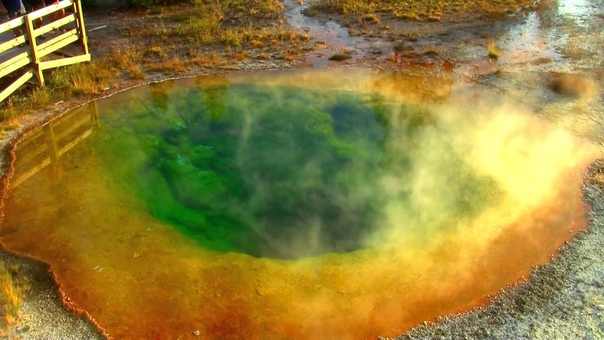 Morning Glory Pool, Yellowstone National Park