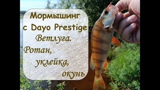Мормышинг с Dayo Prestige. Ветлуга. Ротан, уклейка, окунь
