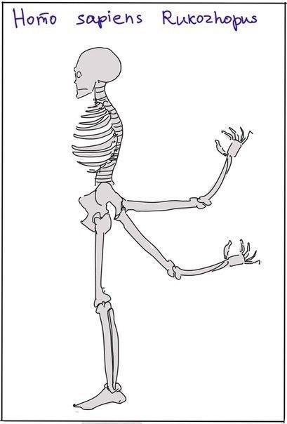 Алёна Никифорова | Волгоград