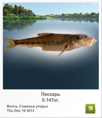 Сергей Кравченко |