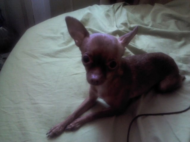 Максим Малышев | Москва