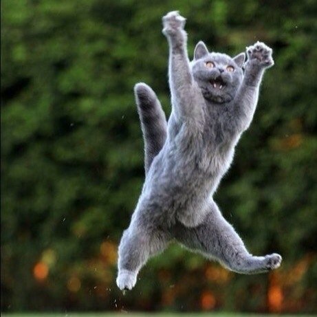 Ирина Теленкова | Санкт-Петербург